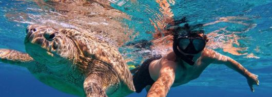 Почивка в Марса Алам, Египет със самолет от София – 7 нощувки